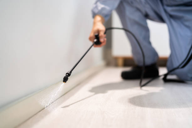 Certified termite inspector examining foundation in Mason